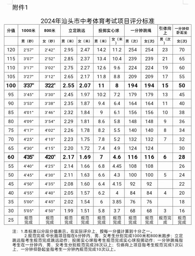 中考体育项目评分标准2024( 100分究竟要跑多快)