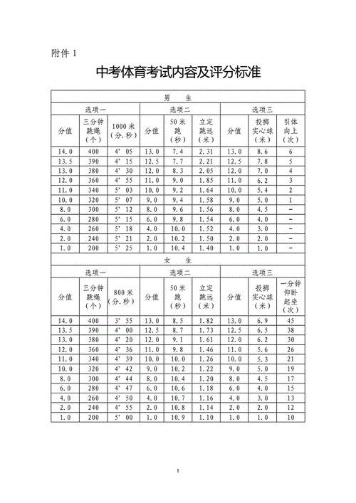 中考体育项目及评分标准(满分标准是多少)