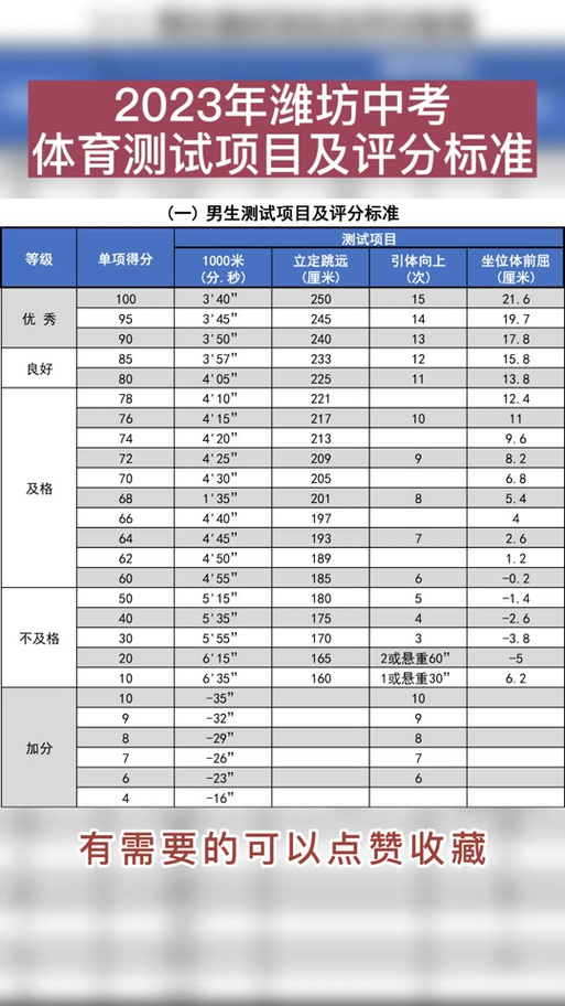 中考体育项目及其评分标准和满分技巧山东(山东中考体育项目评分标准怎么看)