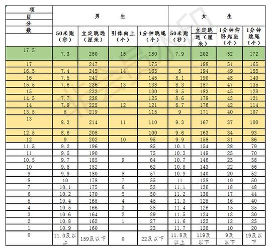 中考体育评分标准2024陕西排球(怎么练才能稳稳过)