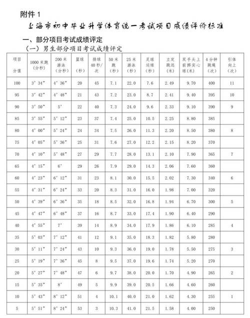 中考体育评分标准2024跳远(2024评分标准是什么)