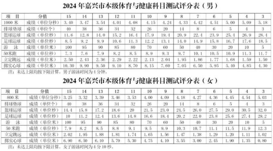 中考体育评分标准2024浙江(哪个项目最容易拿分)