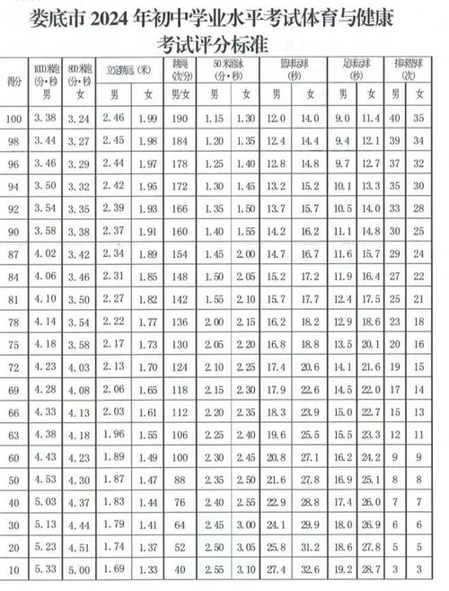 中考体育评分标准2024兴化(具体内容是什么)