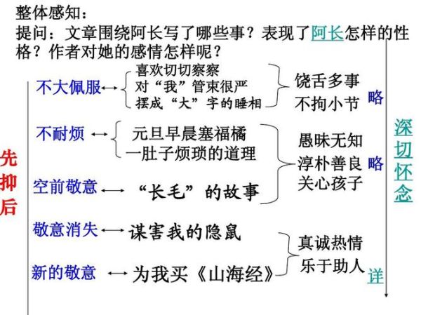 阿长与《山海经》主要内容概括(  阿长与〈山海经〉讲述了什么故事)