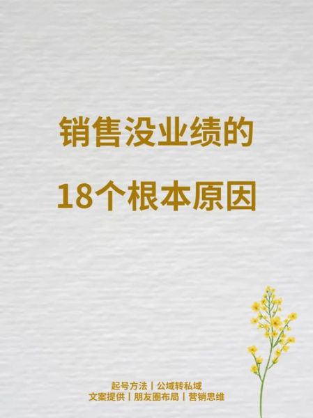 销售太差原因分析及改善(还是客户根本不买单)