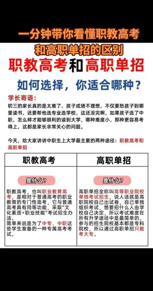 职高和中专的区别(哪个更容易考上大学)