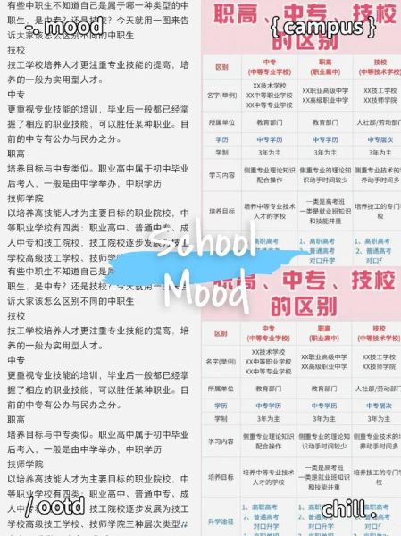 职高和中专的区别(哪个更容易考上大学)