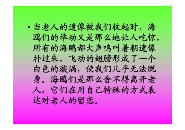 老人与海鸥的资料(老人对海鸥又有什么感情呢)