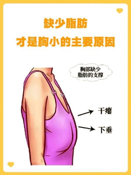 组词女生的胸(  女生胸部如何才能更好看)