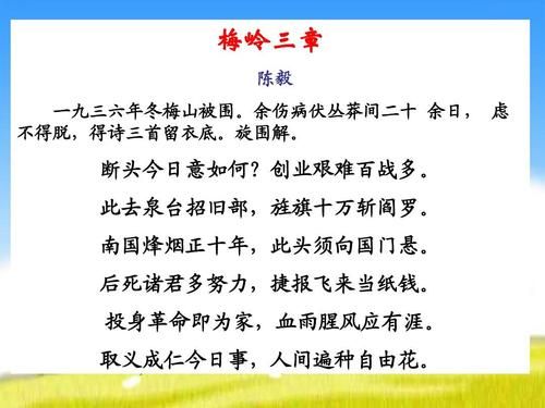 满江红主要内容概括(张大最终揭开了什么真相)