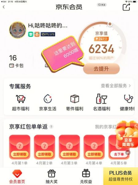 京享值6000什么级别(  怎么才能快速提升到这个等级)