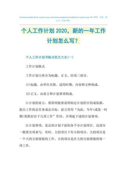 2020年是特殊的一年总结(你又有哪些新的目标和计划)